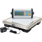 Adam Equipment CPWplus 35 Digital Bench Scale 75lb x 0.02lb 11-13/16" x 11-13/16" Platform