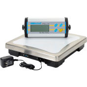 Balalnce de table numérique Adam Equipment CPWplus 150, 330lb x 0,1 lb, plateforme de 11-13/16 po x 11-13/16 po