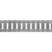 Section ancra® 48117-25 5' E voie - finition de manteau de poudre grise, qté par paquet : 2