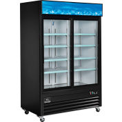 Nexel® Merchandiser Refrigerator, 2 Glass Doors, 45 Cu. Ft.