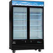 Nexel® Merchandiser Freezer, 2 portes vitrées, 45 pi³, noir