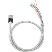 Câble de démarrage Multi Circuit D'Interion® - 72"