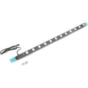 Alimentation Proline avec 8 prises et cordon de 6'L, 60 « W, bleu