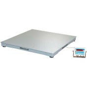 Échelle de plancher NTEP de série NTEP brecknell DSB avec indicateur LED, 4'x4', 5 000 lb x 1 lb