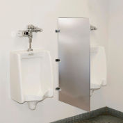 Global Industrial™ Bathroom Stainless Steel Urinal Screen 24 x 42