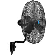 Continental Dynamics® 30" Premium Wall Mount Fan, TEAO Motor, 2 Speed, 11,500 CFM, 120V, 1/2 HP
