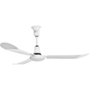 Global Industrial™ 60" Industrial Ceiling Fan, Outdoor Rated, 4 Speed, 8000 CFM, White