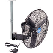 Global Industrial™ 24" Outdoor Rated Industrial Ceiling Mount Fan, 2 Speed, 7,700 CFM, 3/10 HP