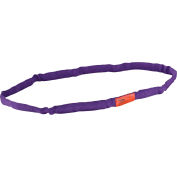 Global Industrial™ Polyester Round Sling, Endless, 3 Ft, 2600/2100/5200 Lbs Cap