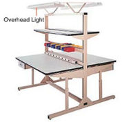 Pro-Line Overhead Light Kit W/ 9'L Cord, Tan
