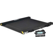 Global Industrial™ Drum Scale With LCD Indicator, 1 000 lb x 0,5 lb