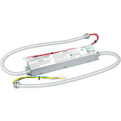 Dual-Lite PLD7M2 Emergency LED Battery, 7W Output Power, Galvanized Steel w/ Two (2) 24” conduits