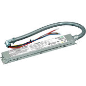 Dual-Lite PLD10M Emergency LED Battery, 10W Constant Output, Galvanized Steel w/ One 24” Conduit 
