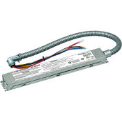 Dual-Lite PLD10M Emergency LED Battery, 10W Constant Output, Galvanized Steel w/ One 24” Conduit