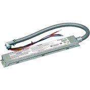 Dual-Lite PLD10M Urgence LED Batterie, 10W Rendement constant, Acier Galvanisé w/ One 24" Conduit