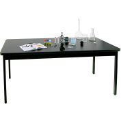 Allied Plastics Science Table - Chemical Resistant Top - Steel Frame 30x72