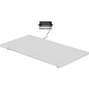 Global Industrial™ Stainless Steel Veterinary Scale, 1,000 Lb Capacity, 42"L x 21-21/32"W