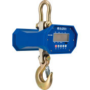 Global Industrial Heavy Duty LCD Digital Crane Scale With Remote, 6,000 lb x 1 lb