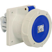 Walther Electric 469509, Female Receptacle, 60/63A, 5P, 230/250Vac, 9 Hr, IP67