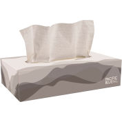 Envision® 2-Ply Facial Tissue By GP Pro, Flat Box, 30 Boxes Per Case