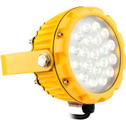 Global Industrial™ LED Dock Light Head, 20W, 1800 Lumens, Interrupteur Marche/Arrêt, Cordon 9' avec prise