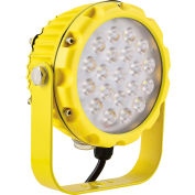 Global Industrial™ LED Dock Light Head, 30W, 3000 Lumens, Interrupteur Marche/Arrêt, Cordon 9' avec prise
