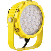 Global Industrial LED Dock Light Head, 30W, 3000 Lumens, On/Off Switch, 9' Cord w/ Plug