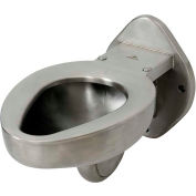 Acorn R2100-W-1 Blowout Jet Wall Mounted Toilet W/Back Spud, Stainless Steel Finish