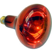 Infra-Red Heat Lamp, 130V, 250W, For Merco, 000372SP