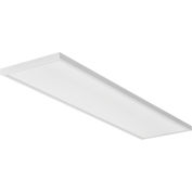 Lithonia Lighting® CPANL™ LED Flat Panel, 4400 Lumens, 3500/4000/5000K, 48"L x 12"W, Blanc