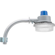Lithonia BarnGuard LED Barn Light, Package 1,4000K,120-277V, Nema Twist-Lock Receptacle uniquement