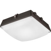 Lithonia CNY,LED,Package, 35W, 4500 Lumens, 4000K,UL Listed