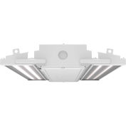 Lithonia Compact Pro High Bay, LED,15 000 lumens,120V-277V,4000K