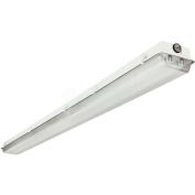 Lithonia DMW 2 96T8 MV GEB10IS Slimline Enclosed And Gasketed Indus 2 Lamp 59w Program Start Ballast
