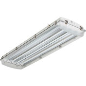Lithonia Lighting FHE 454L 1/4 CS89 High-Pressure Hose-Down Food Processing, 4 Lamp, T5HO, 54W