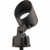 Lithonia OLBF 8 K 50 DDB M6 Bullet LED Flood - Flood optique 120V 840 Lumens