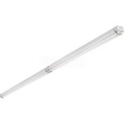 Lithonia TZ 2 54T5HO MV 1/4 GEB10PS Tandem T5 Fluor. Striplight 2 Lamp 54w Pulse Start Ballast
