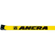 Ancra® 41660-10-30 3 "x 30' sangle de treuil avec 41766-18 plat crochet