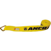 Ancra® 43795-11-30 4 "x 30' sangle de treuil avec 41631-12 Delta Ring