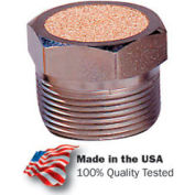 Flèche ASP2BV, reniflard pneumatique, frittés Bronze, 40 Micron, 1/4" NPT, 150 lb/po2, qté par paquet : 10
