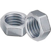 Aignep USA Jam Nut M27 x 2 CH41 SP12 Pour cylindres ISO