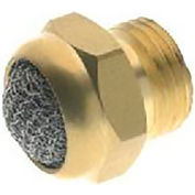 Aignep USA 1/4 » NPT Poly Silencieux 75 Micron 145 PSI 5 à 212 F