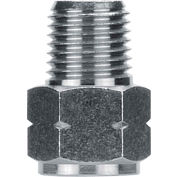 AIGNEP Adapter, 82241N-04-04, 1/4" Male NPTF x 1/4" Female G Thread, Nickel Plated Brass - Pkg Qty 10