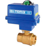 BI-TORQ 1/2" Brass 2-Pc TNP Ball Valve W/NEMA 4 115VAC/4-20mA positionneur