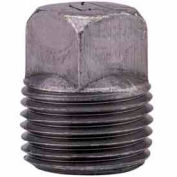 Tête carrée malléable de 2 po noir Branchez 150 lb/po2 sans plomb