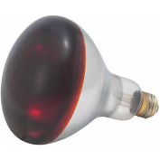 WINCO EHL-BR - rouge ampoule pour lampe de chaleur EHL-2, 250W, qté par paquet : 6