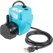 Petite pompe submersible Little Giant 502203 série 2E-38N, double usage