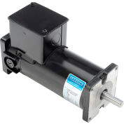 Leeson moteurs DC moteur-1/6HP, 90V, 1750 tr/min, TENV, bride Sq.