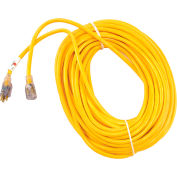 Cordon électrique avec fiche lumineuse U.S. Wire 74100, 100 pi, 12/3 W