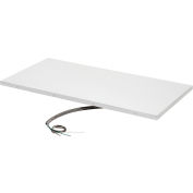 TPI Radiant Ceiling Panel CP127 48"L x 24"W 750W 120/240V